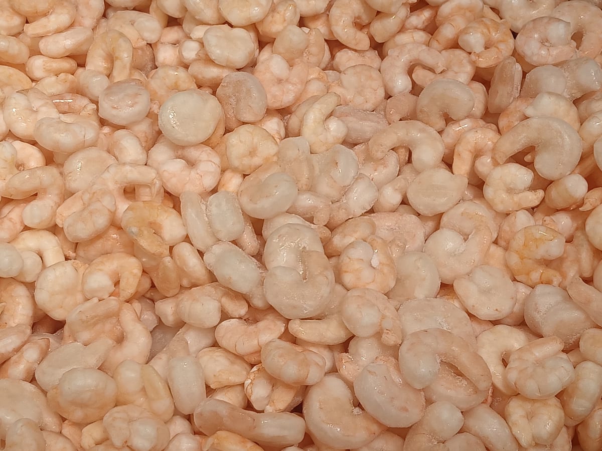 Crevettes cuites décortiquées