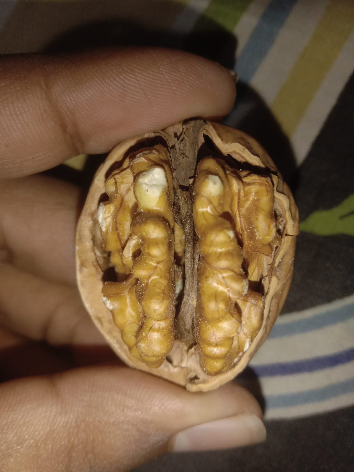 Noix dans sa coque à moitié brisée