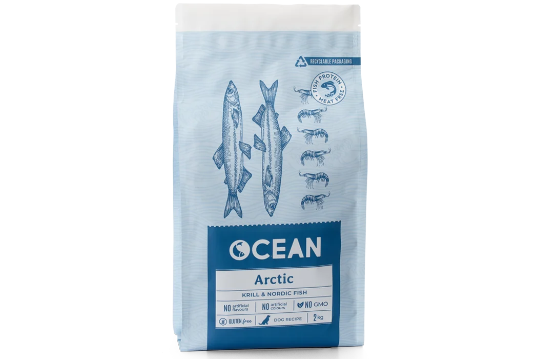 Ocean Arctic