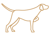 Croquette Chien pour chasseurs