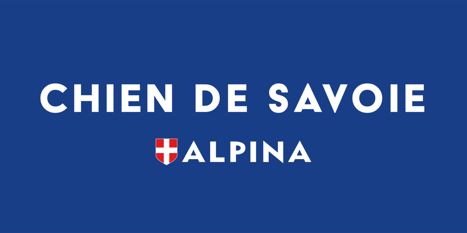 Chiens de savoie Alpina