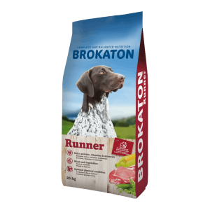 Brokaton runner chien