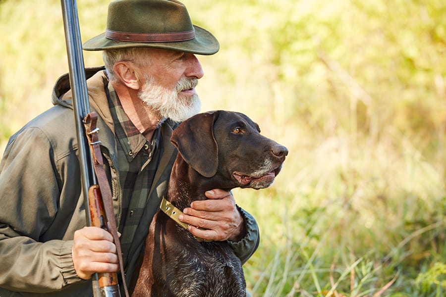 Croquettes chien chasse