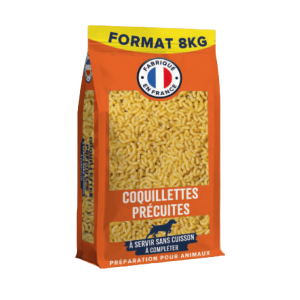 coquillettes chien