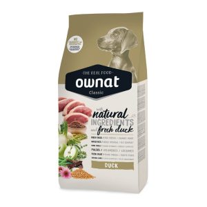 Ownat Duck chien