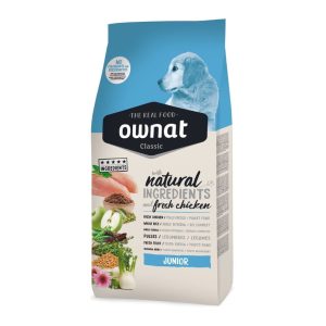 ownat junior chien