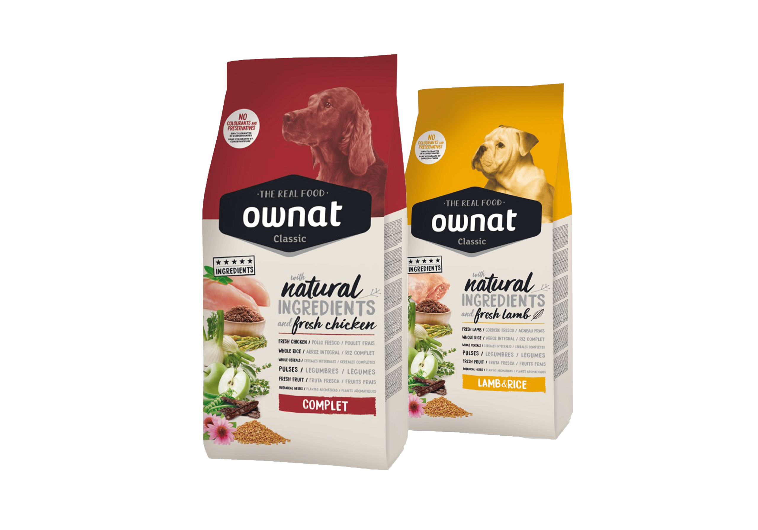 Croquettes Classiques pour Chien