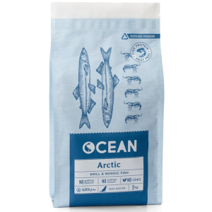 Ocean Arctic